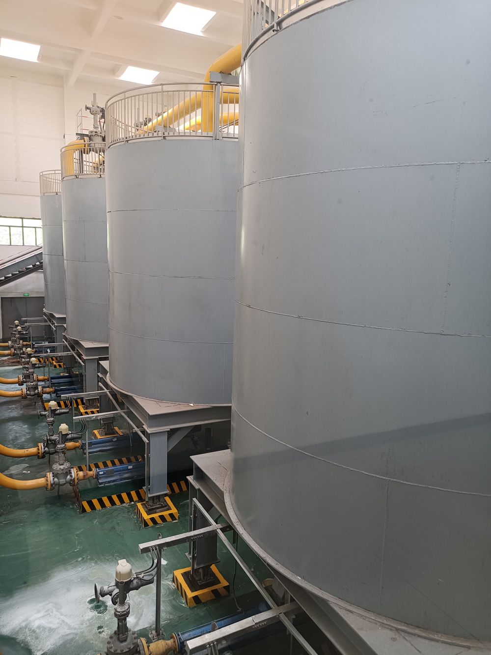 ������̎��